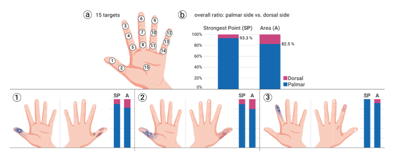 GUI for participants, basically drawing canvas overlaid on hand image