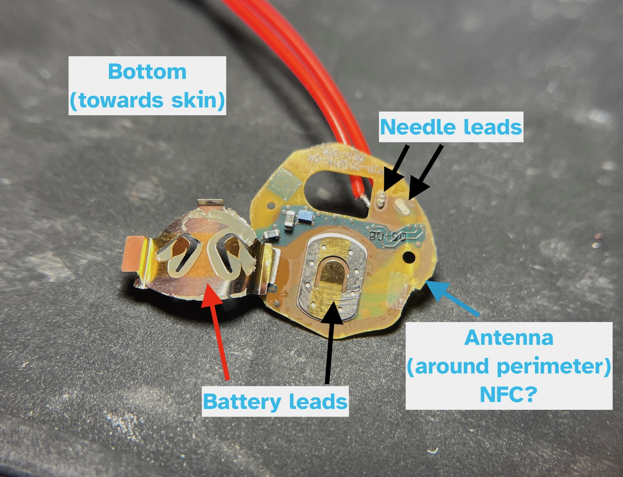 Skin-facing side of the Stelo board, annotated with battery leads, needle leads, and a perimeter antenna