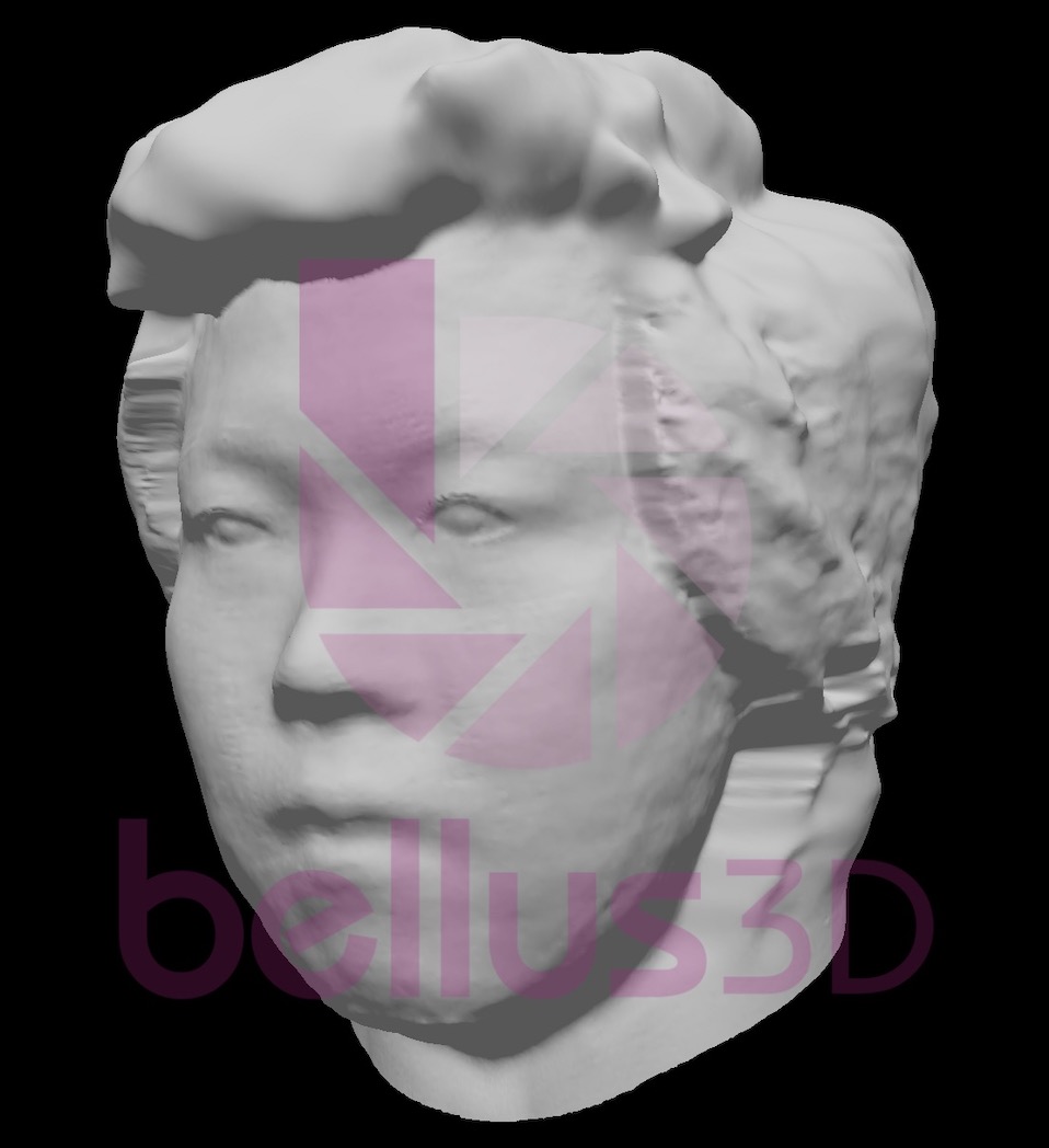 Grey 3D model of Andy's head generated by the Bellus3D scanning app