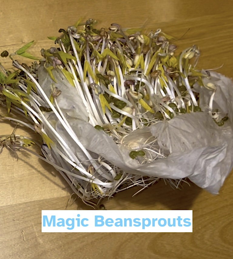 Magical Beans Hero Image