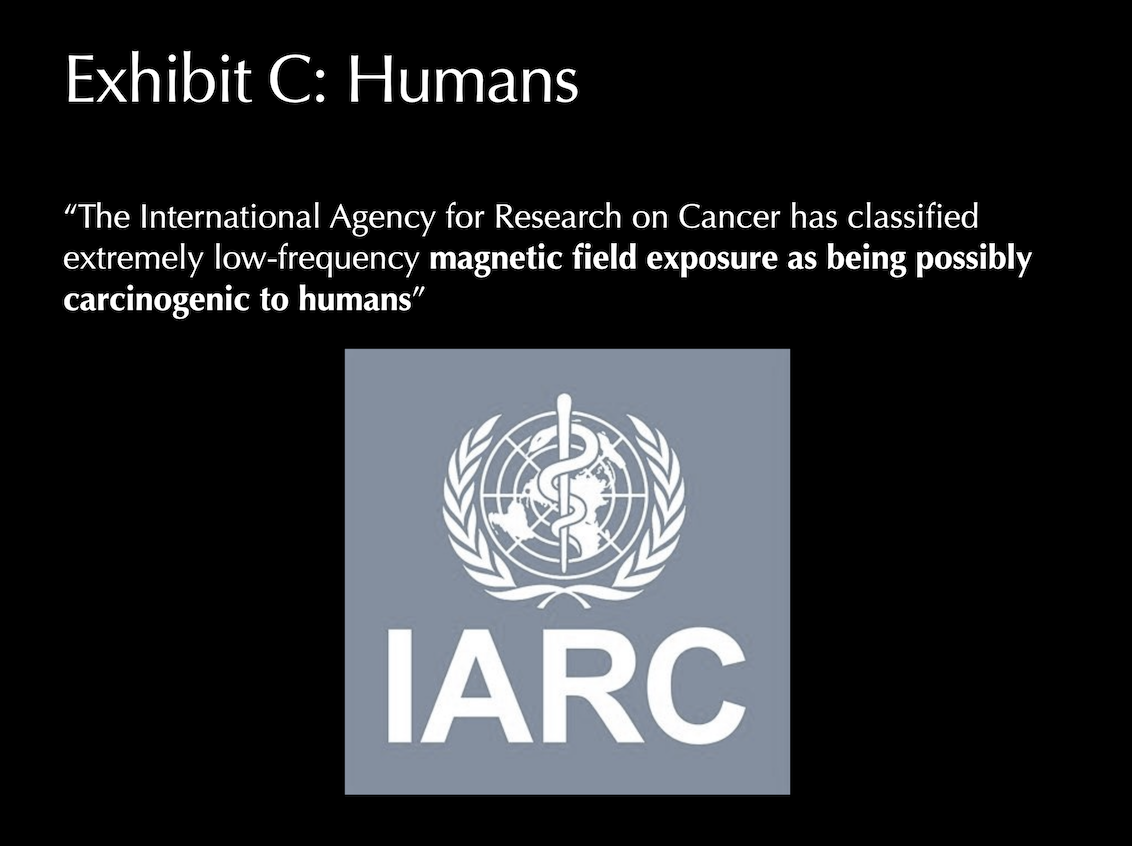 Slide quoting the IARC classifying low-frequency magnetic field exposure as possibly carcinogenic, with the IARC logo