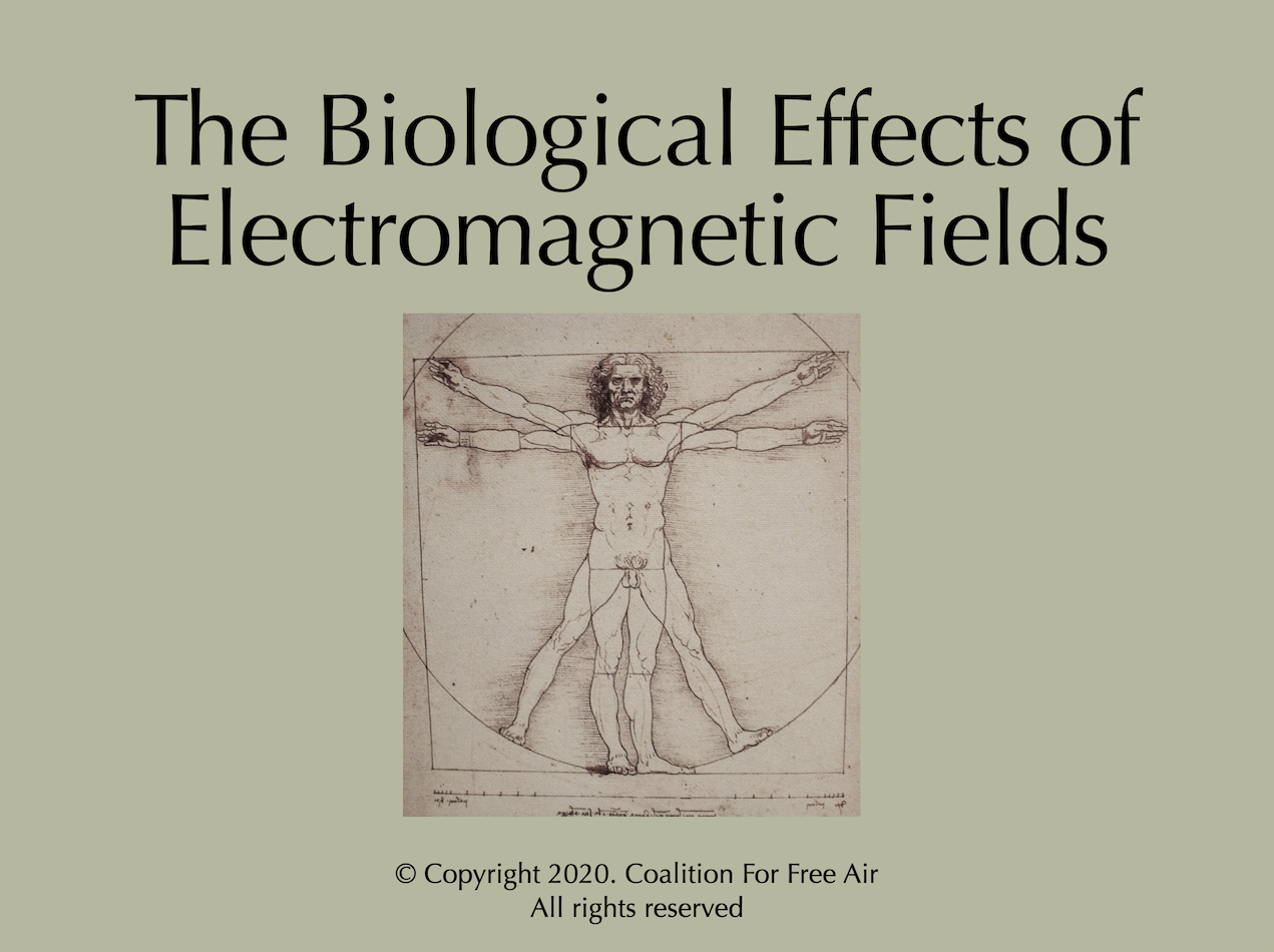 Presentation title slide reading The Biological Effects of Electromagnetic Fields over da Vinci's Vitruvian Man