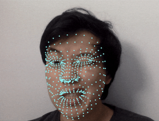 Face Mesh Demos ↗ Hero Image