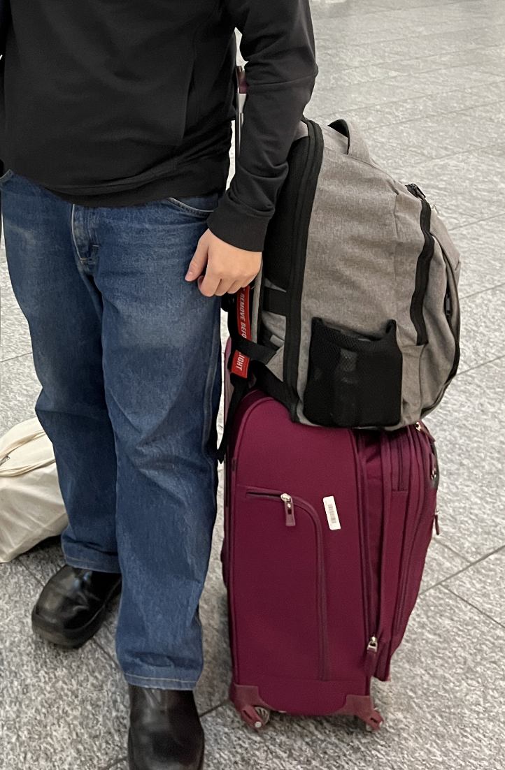Burgeoning is a good word for these bags