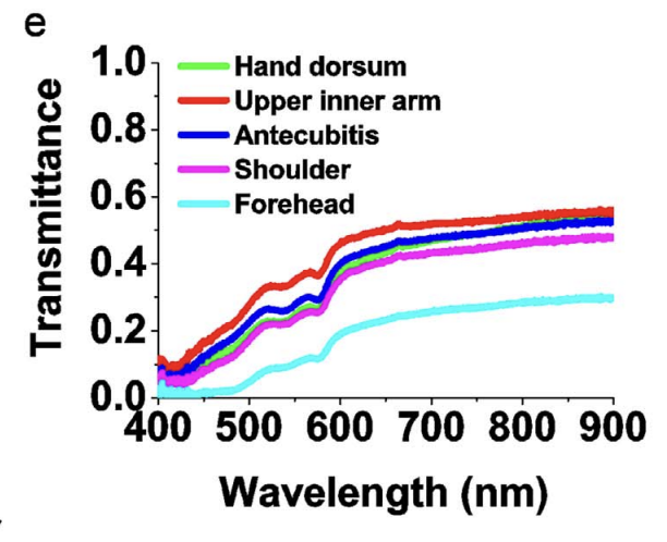 Graph of skin light transmittance versus wavelength for five body sites from 400 to 900nm