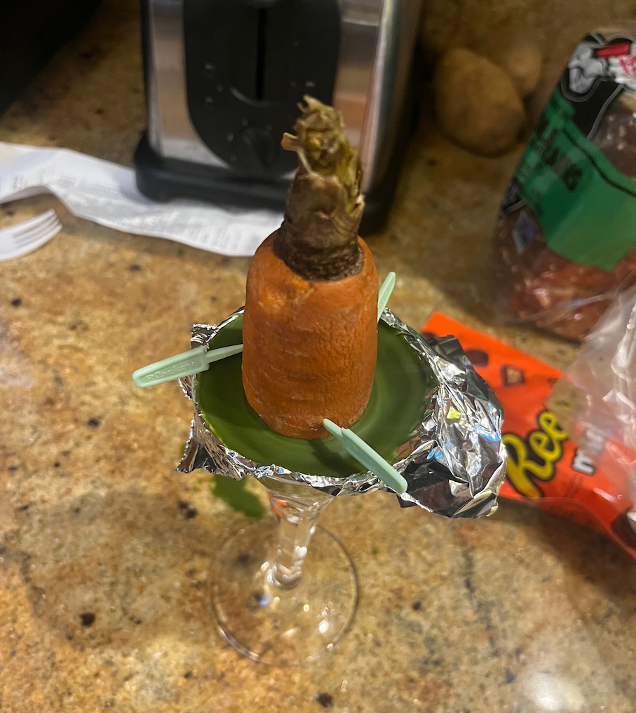 Carrot carved into a cone-shaped ultrasound lens propped on foil above a glass