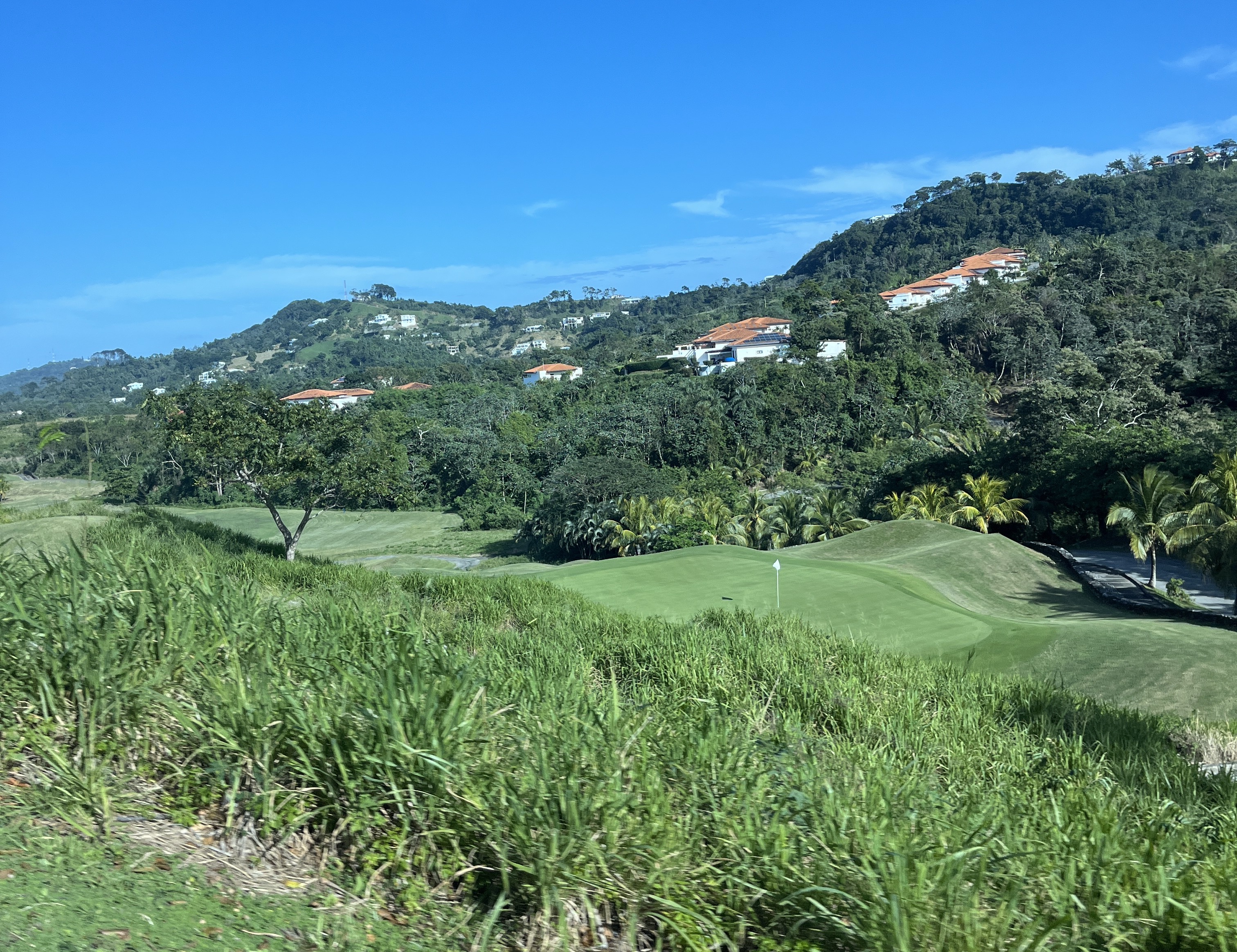Lush hillside on Roatan with tropical forest, red-roofed villas, palm trees, and a golf green