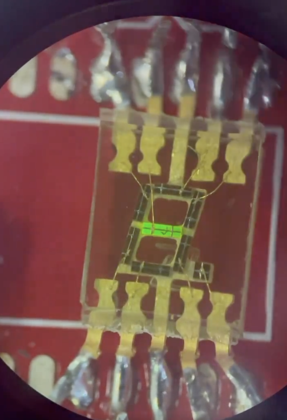 Microscope view of a tiny 7-segment display die with gold bond pads, one segment glowing green
