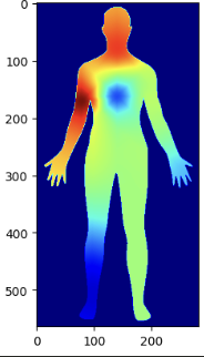 Human body silhouette shaded with a rainbow heatmap gradient from head to feet